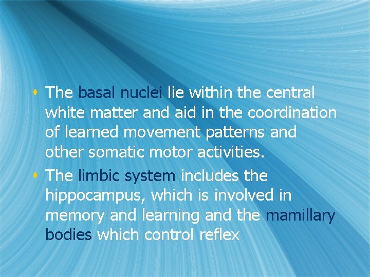 s The basal nuclei lie within the central white matter and aid in the s The basal nuclei lie within the central white matter and aid in the