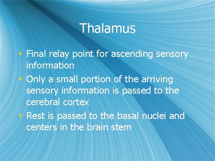 Thalamus s Final relay point for ascending sensory information s Only a small portion Thalamus s Final relay point for ascending sensory information s Only a small portion