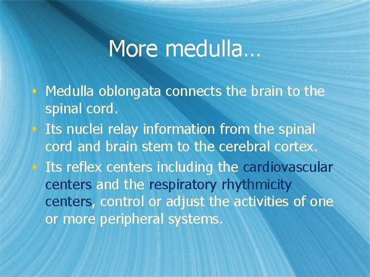 More medulla… s Medulla oblongata connects the brain to the spinal cord. s Its More medulla… s Medulla oblongata connects the brain to the spinal cord. s Its