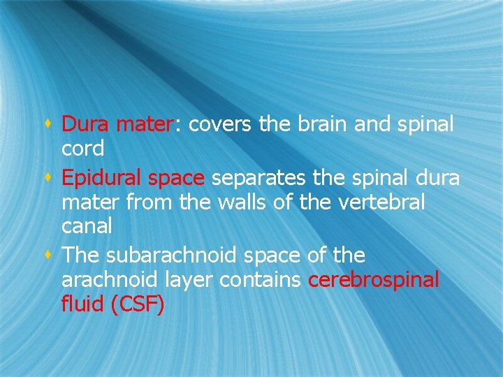 s Dura mater: covers the brain and spinal cord s Epidural space separates the s Dura mater: covers the brain and spinal cord s Epidural space separates the
