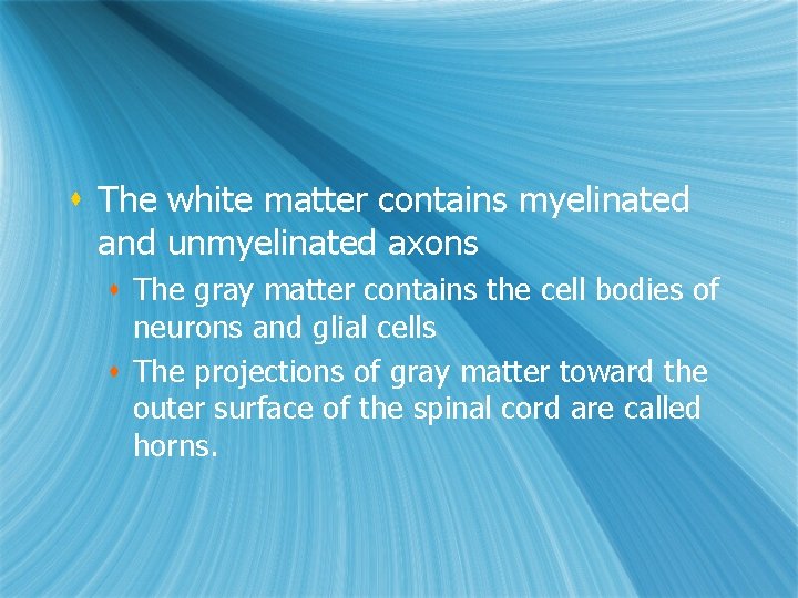 s The white matter contains myelinated and unmyelinated axons s The gray matter contains s The white matter contains myelinated and unmyelinated axons s The gray matter contains