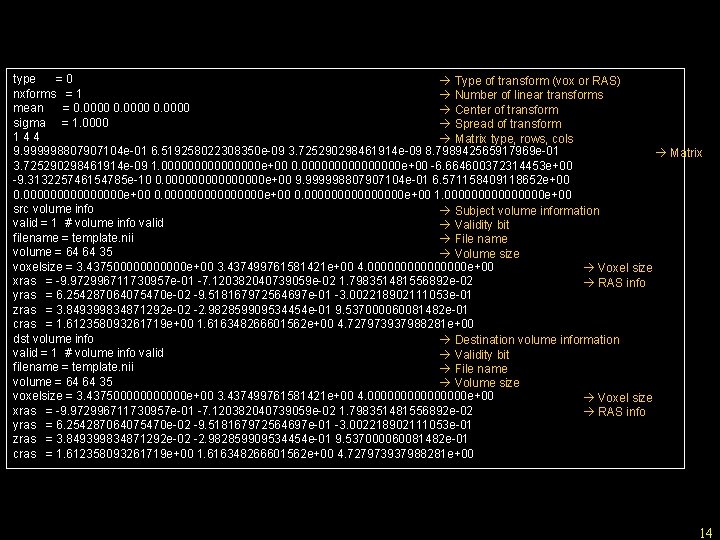 type =0 Type of transform (vox or RAS) nxforms = 1 Number of linear