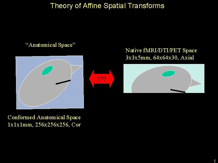 Theory of Affine Spatial Transforms “Anatomical Space” Native f. MRI/DTI/PET Space 3 x 3