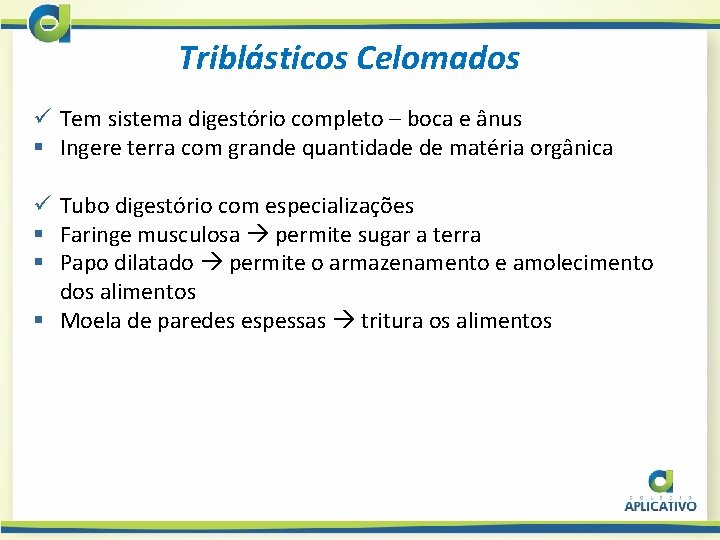 Triblásticos Celomados ü Tem sistema digestório completo – boca e ânus § Ingere terra