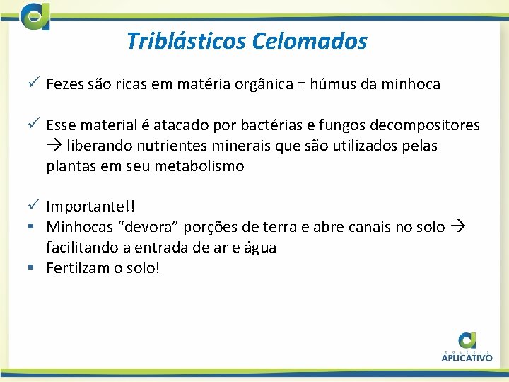 Triblásticos Celomados ü Fezes são ricas em matéria orgânica = húmus da minhoca ü