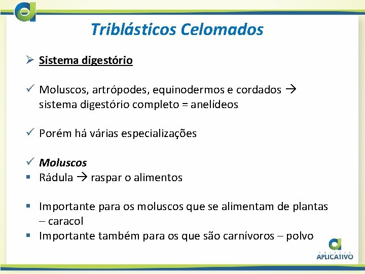 Triblásticos Celomados Ø Sistema digestório ü Moluscos, artrópodes, equinodermos e cordados sistema digestório completo