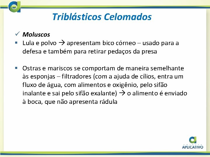 Triblásticos Celomados ü Moluscos § Lula e polvo apresentam bico córneo – usado para