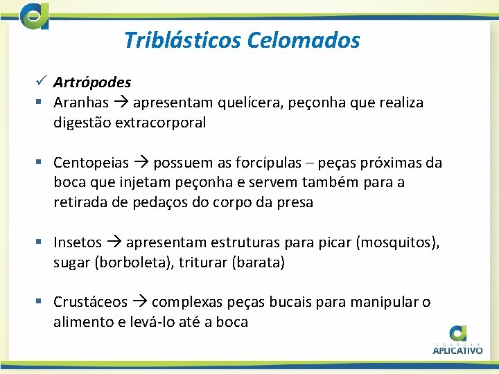 Triblásticos Celomados ü Artrópodes § Aranhas apresentam quelícera, peçonha que realiza digestão extracorporal §