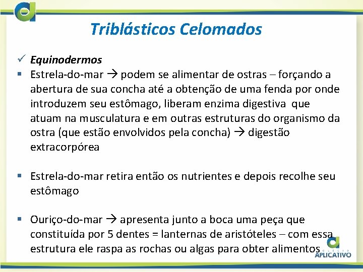 Triblásticos Celomados ü Equinodermos § Estrela-do-mar podem se alimentar de ostras – forçando a