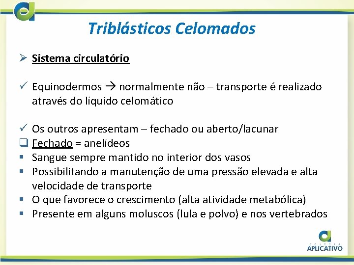 Triblásticos Celomados Ø Sistema circulatório ü Equinodermos normalmente não – transporte é realizado através