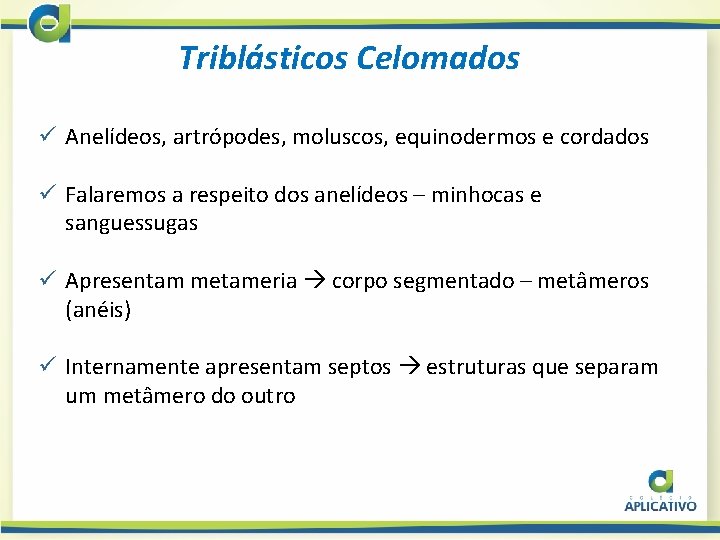 Triblásticos Celomados ü Anelídeos, artrópodes, moluscos, equinodermos e cordados ü Falaremos a respeito dos