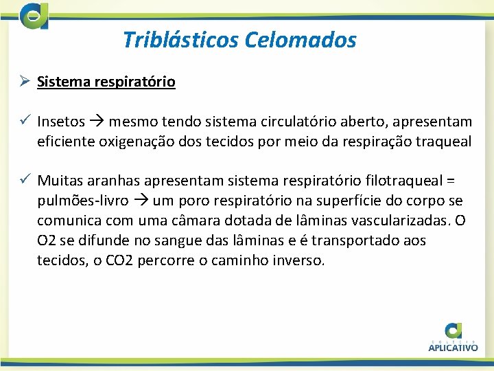 Triblásticos Celomados Ø Sistema respiratório ü Insetos mesmo tendo sistema circulatório aberto, apresentam eficiente
