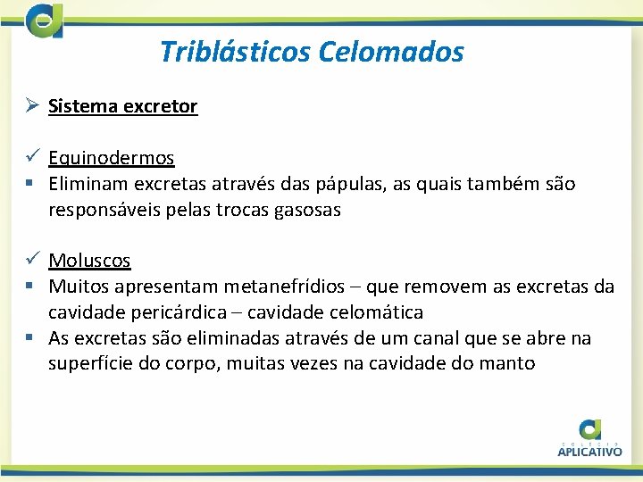 Triblásticos Celomados Ø Sistema excretor ü Equinodermos § Eliminam excretas através das pápulas, as