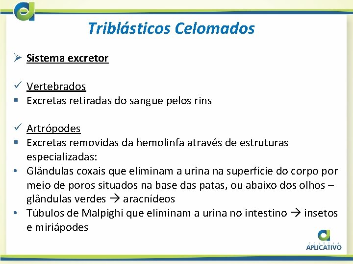 Triblásticos Celomados Ø Sistema excretor ü Vertebrados § Excretas retiradas do sangue pelos rins
