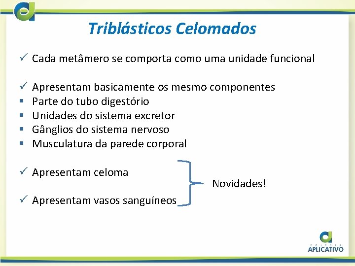 Triblásticos Celomados ü Cada metâmero se comporta como uma unidade funcional ü § §