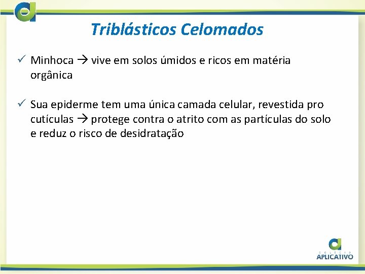 Triblásticos Celomados ü Minhoca vive em solos úmidos e ricos em matéria orgânica ü