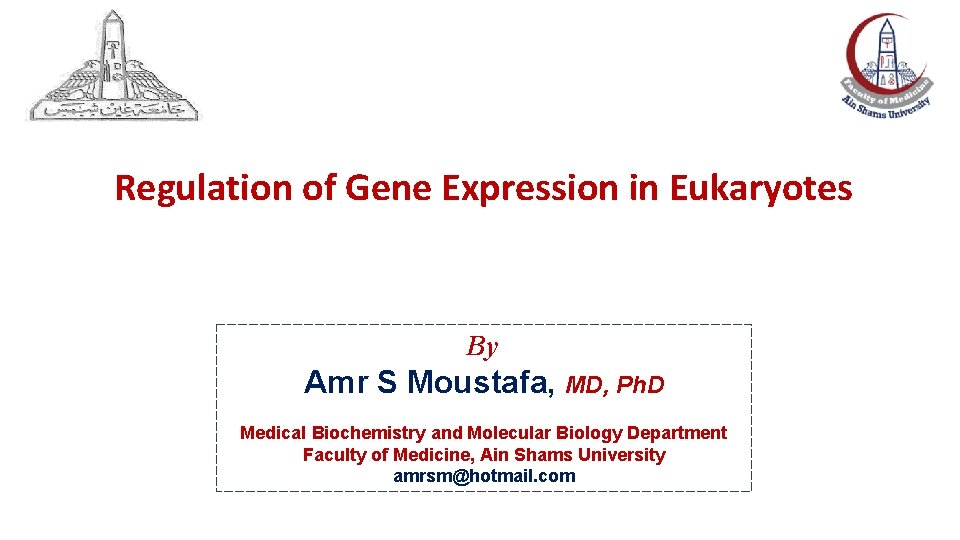 Regulation of Gene Expression in Eukaryotes By Amr S Moustafa, MD, Ph. D Medical