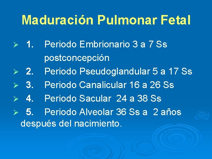 Maduración Pulmonar Fetal Periodo Embrionario 3 a 7 Ss postconcepción Ø 2. Periodo Pseudoglandular