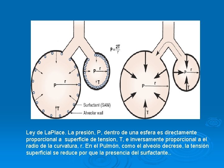 Ley de La. Place. La presión, P, dentro de una esfera es directamente proporcional