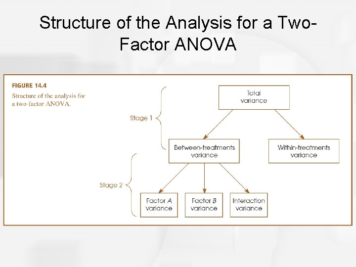 Structure of the Analysis for a Two. Factor ANOVA 