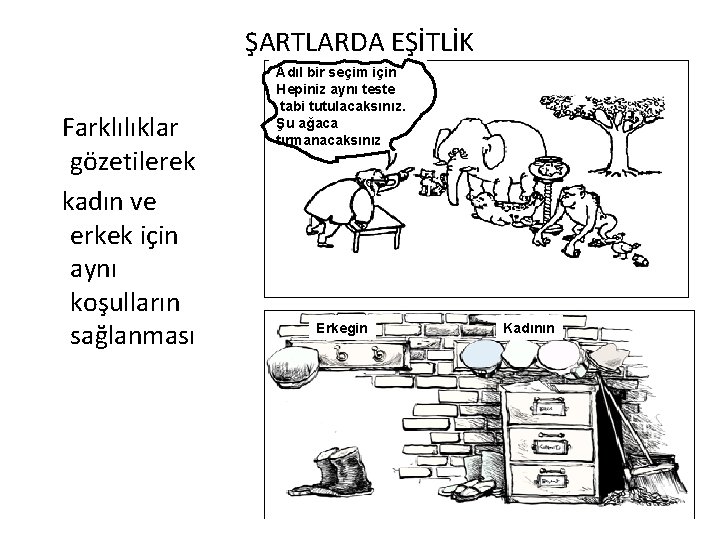 ŞARTLARDA EŞİTLİK Farklılıklar gözetilerek kadın ve erkek için aynı koşulların sağlanması Adıl bir seçim