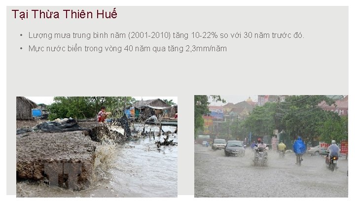 Tại Thừa Thiên Huế • Lượng mưa trung bình năm (2001 -2010) tăng 10