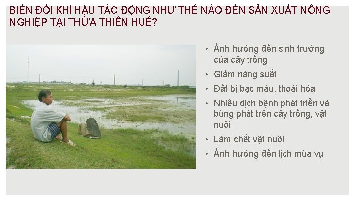 BIẾN ĐỔI KHÍ HẬU TÁC ĐỘNG NHƯ THẾ NÀO ĐẾN SẢN XUẤT NÔNG NGHIỆP