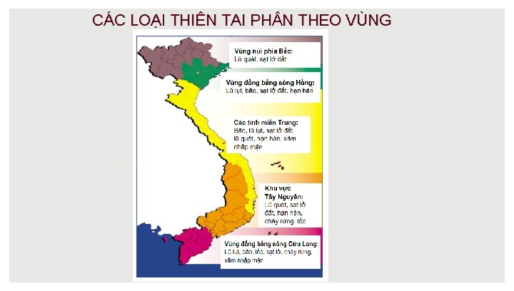 CÁC LOẠI THIÊN TAI PH N THEO VÙNG 