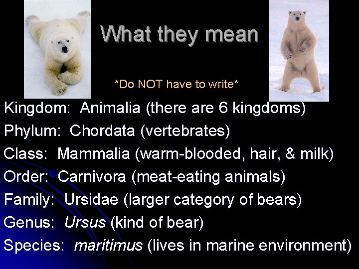 What they mean *Do NOT have to write* Kingdom: Animalia (there are 6 kingdoms) What they mean *Do NOT have to write* Kingdom: Animalia (there are 6 kingdoms)