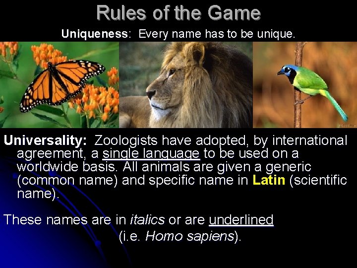 Rules of the Game Uniqueness: Every name has to be unique. Universality: Zoologists have Rules of the Game Uniqueness: Every name has to be unique. Universality: Zoologists have