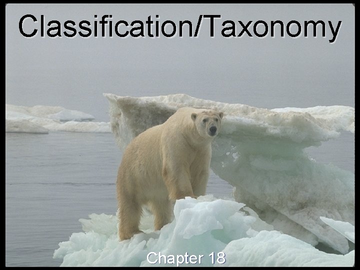 Classification/Taxonomy Chapter 18 Classification/Taxonomy Chapter 18