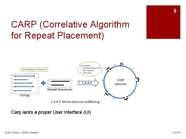 5 CARP (Correlative Algorithm for Repeat Placement) Carp lacks a proper User Interface (UI)