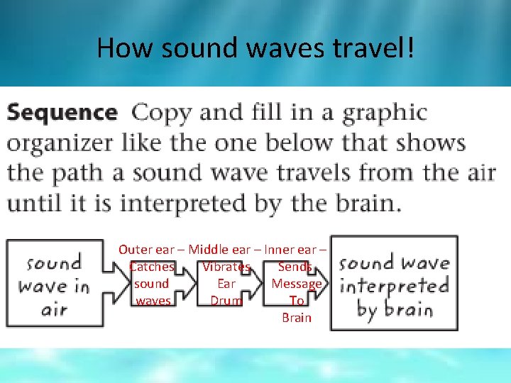 How sound waves travel! Outer ear – Middle ear – Inner ear – Catches