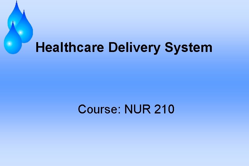 Healthcare Delivery System Course: NUR 210 