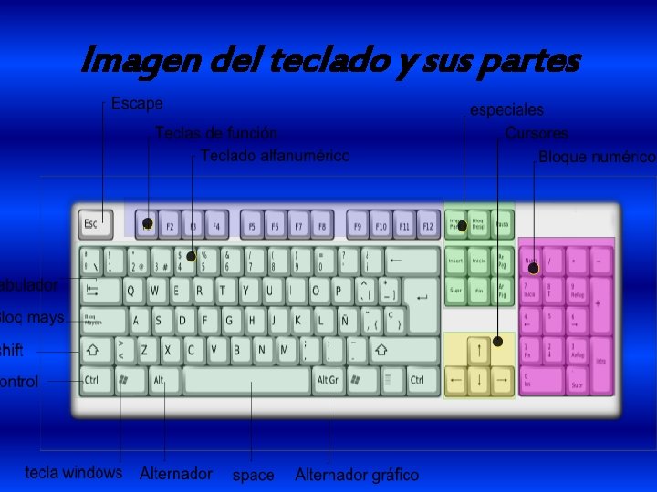 Imagen del teclado y sus partes 