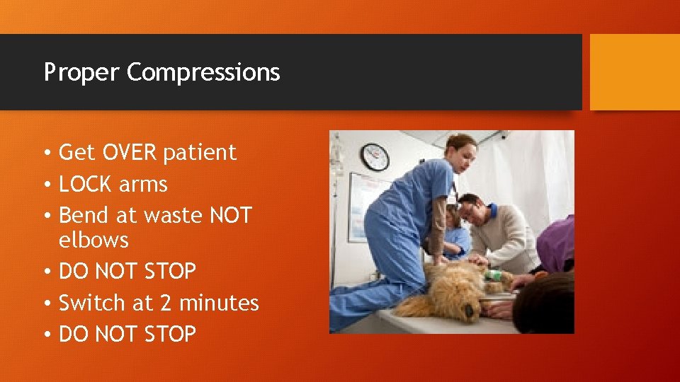 Proper Compressions • Get OVER patient • LOCK arms • Bend at waste NOT