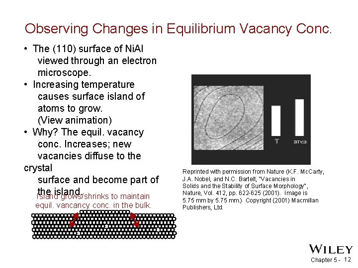 Observing Changes in Equilibrium Vacancy Conc. • The (110) surface of Ni. Al viewed