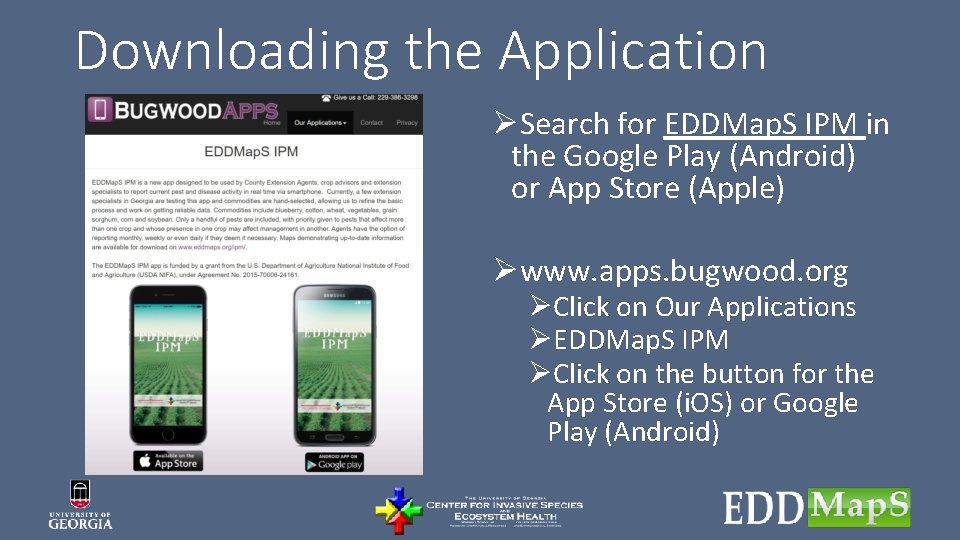 Downloading the Application ØSearch for EDDMap. S IPM in the Google Play (Android) or