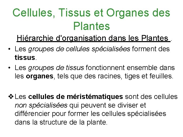 Cellules, Tissus et Organes des Plantes Hiérarchie d'organisation dans les Plantes. • Les groupes