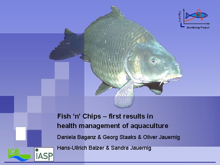 Fisch. FIT Monitoring-Project Fish ‘n’ Chips – first results in health management of aquaculture