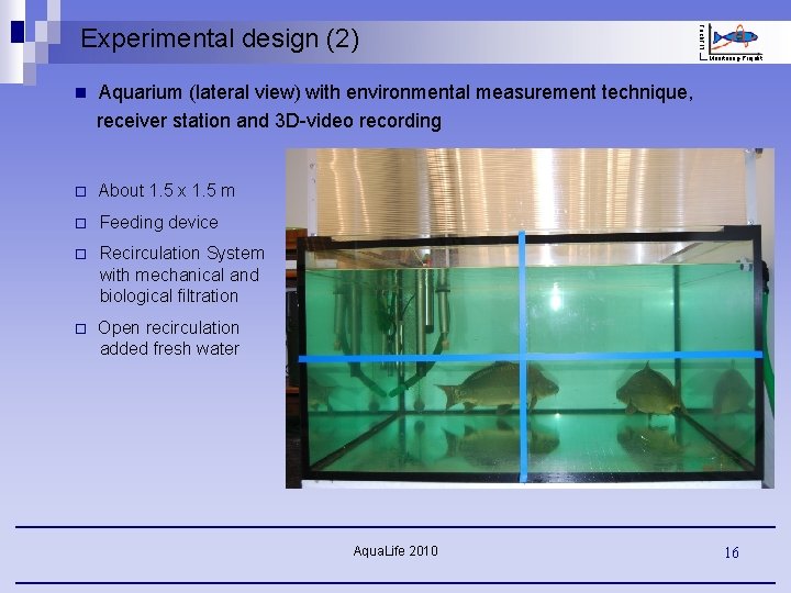 Fisch. FIT Experimental design (2) Monitoring-Projekt n Aquarium (lateral view) with environmental measurement technique,