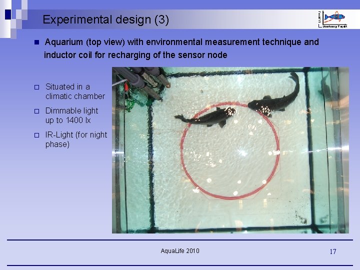 Fisch. FIT Experimental design (3) n Aquarium (top view) with environmental measurement technique and