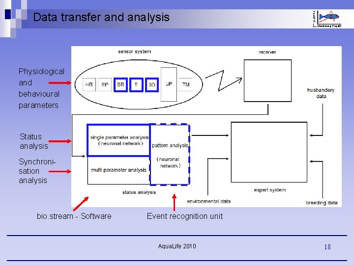 Fisch. FIT Data transfer and analysis Monitoring-Projekt Physiological and behavioural parameters Status analysis Synchronisation