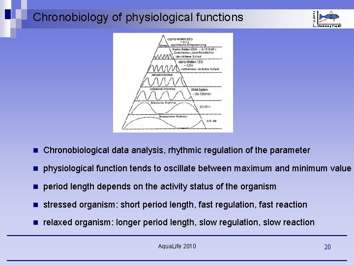 Fisch. FIT Chronobiology of physiological functions Monitoring-Projekt n Chronobiological data analysis, rhythmic regulation of