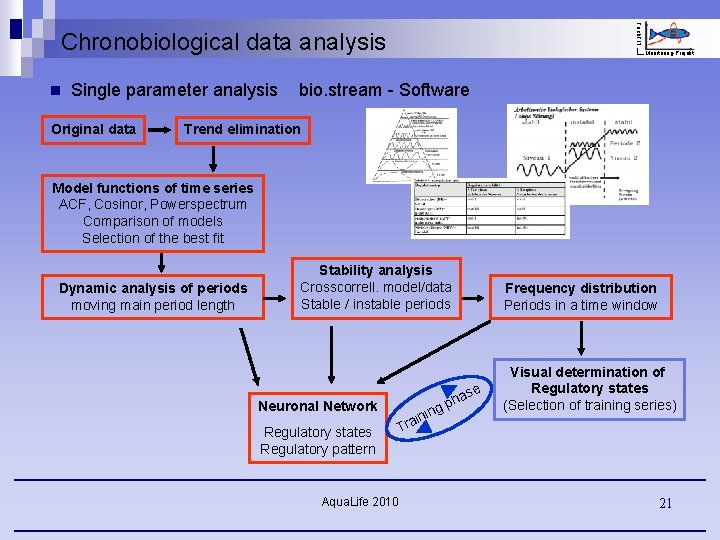 Fisch. FIT Chronobiological data analysis n Single parameter analysis Original data Monitoring-Projekt bio. stream