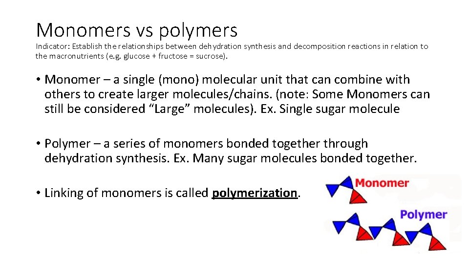 Monomers vs polymers Indicator: Establish the relationships between dehydration synthesis and decomposition reactions in