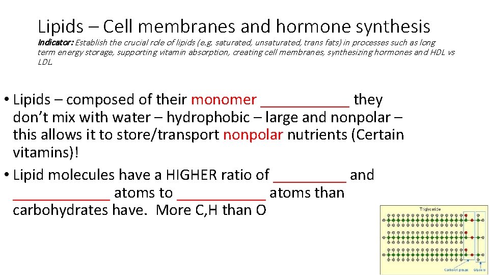 Lipids – Cell membranes and hormone synthesis Indicator: Establish the crucial role of lipids