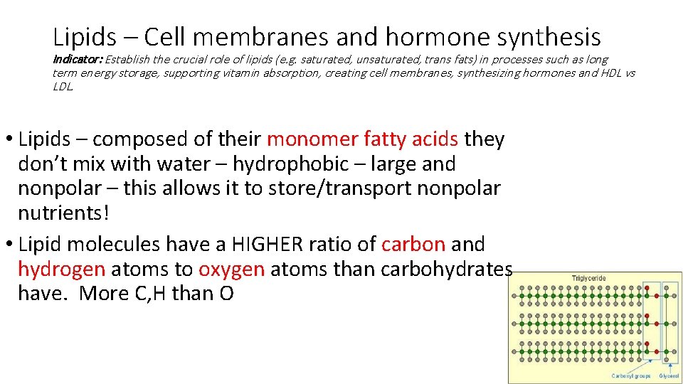Lipids – Cell membranes and hormone synthesis Indicator: Establish the crucial role of lipids