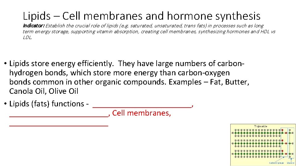 Lipids – Cell membranes and hormone synthesis Indicator: Establish the crucial role of lipids