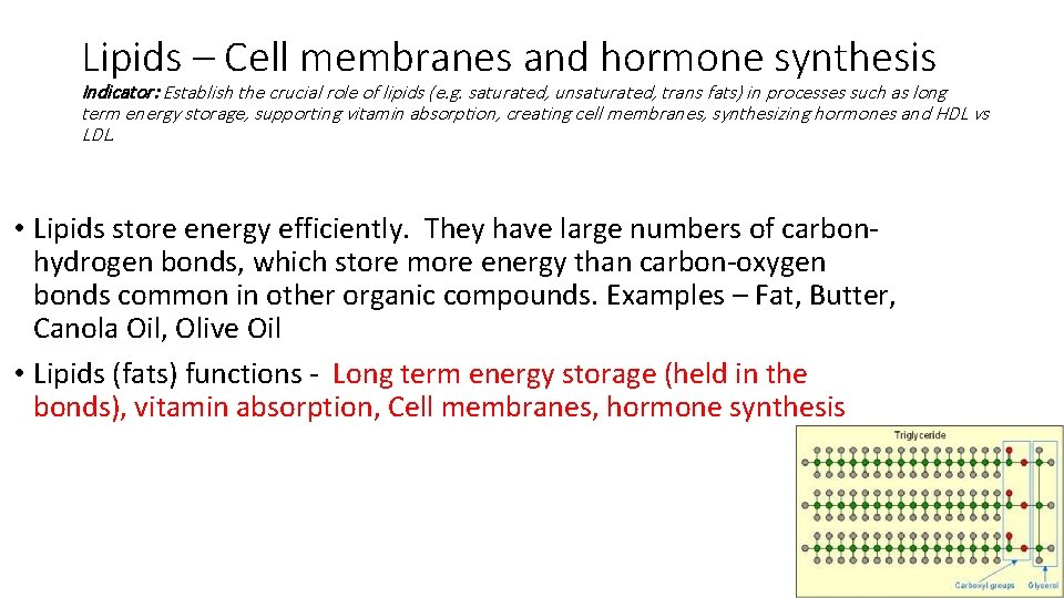 Lipids – Cell membranes and hormone synthesis Indicator: Establish the crucial role of lipids